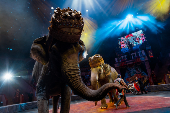 &Icy;&tcy;&acy;&lcy;&softcy;&yacy;&ncy;&scy;&kcy;&icy;&jcy; &tscy;&icy;&rcy;&kcy;&colon; &Scy;&lcy;&ocy;&ncy;&ycy; &icy; &tcy;&icy;&gcy;&rcy;&ycy;