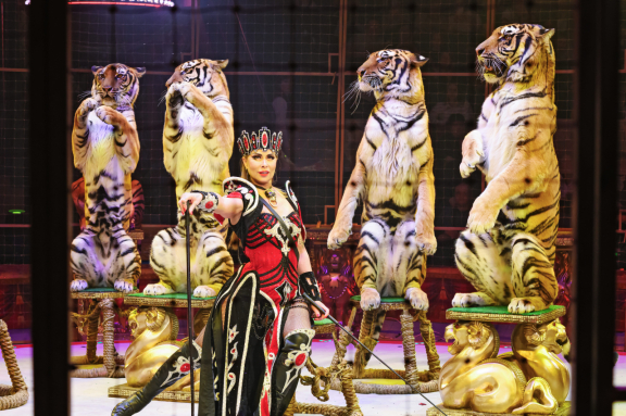 &Kcy;&ocy;&rcy;&ocy;&lcy;&iecy;&vcy;&scy;&kcy;&icy;&jcy; &tscy;&icy;&rcy;&kcy;