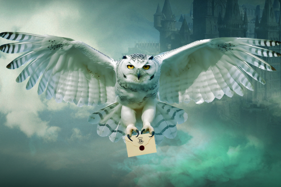 &Gcy;&acy;&rcy;&rcy;&icy; &Pcy;&ocy;&tcy;&tcy;&iecy;&rcy;