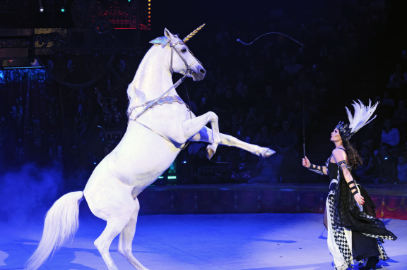 &Kcy;&ocy;&rcy;&ocy;&lcy;&iecy;&vcy;&scy;&kcy;&icy;&jcy; &tscy;&icy;&rcy;&kcy;