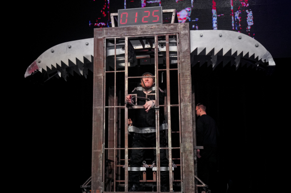 Братья Сафроновы