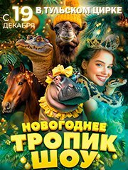 Новогоднее тропик-шоу