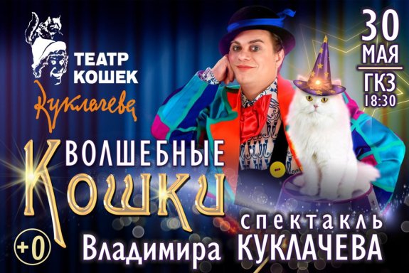 Волшебные кошки. Владимир Куклачёв